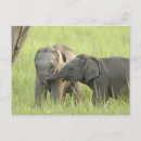 Suche nach asiatischer junge poster India