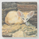 Suche nach niedlicher fuchs untersetzer Wild lebende tiere