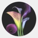 Suche nach calla lilien aufkleber Für sie