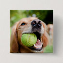 Suche nach tennisball buttons Hund