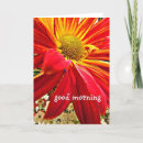 Suche nach guten morgen postkarten Natur