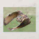 Recherche de vol cartes postales Air