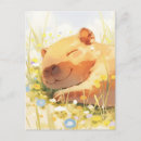Recherche de siestes cartes postales Pour tous