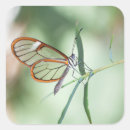 Suche nach wing aufkleber Natur
