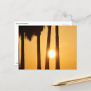 Recherche de palm beach cartes postales Lever