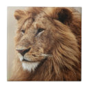 Suche nach make up fliesen Tier