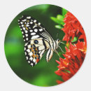 Suche nach schöne blumen aufkleber Sommer