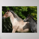 Recherche de foies posters Animal