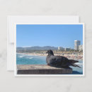 Recherche de monica cartes postales Photographie