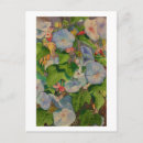 Recherche de fleur de gloire Botanique