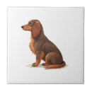 Recherche de illustration de loup carreaux Chien