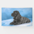 Suche nach englisch cocker spaniel Niedlich
