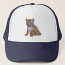Recherche de cuill casquettes Animal