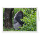 Suche nach silverbacks Silberfarben