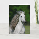 Suche nach stallion karten Bob langrish
