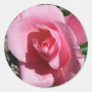 Recherche de hybrides autocollants Nature
