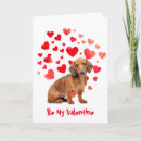 Recherche de teckel mignon vœux cartes Humour