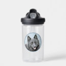 Recherche de schipperke maison deco Chiot