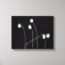 Suche nach schwarze rose leinwandbilder Botanisch