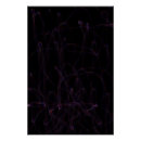 Recherche de dimension posters Énergie