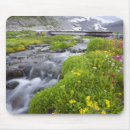 Suche nach gelbe wildblumen mousepads Natur