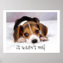 Suche nach cute puppy poster Animal