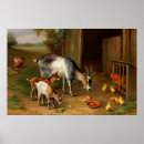 Suche nach betrieb poster Natur