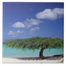 Suche nach aruba fliesen Urlaub