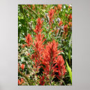 Suche nach malerpinsel poster Natur