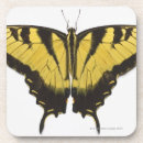 Suche nach studioschuß untersetzer Horizontal