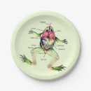 Suche nach anatomie teller Anatomie des frosches