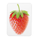 Recherche de fraise magnets Fruits