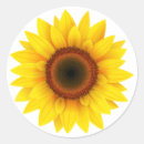 Recherche de lignes fines autocollants Soleil