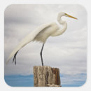 Recherche de profil autocollants Oiseau