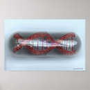 Suche nach winkel poster Bild