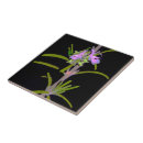 Recherche de romarin carreaux Fleurs de lavande