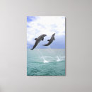 Suche nach delfin leinwandbilder Meereswelt