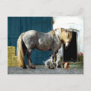 Recherche de jumeau posters Animaux domestiques