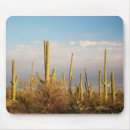 Recherche de aride tapis souris Arizona