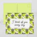Recherche de chamane cartes postales Tortue