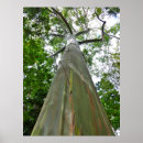 Suche nach mindanao poster Gum