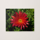 Suche nach teppich puzzle Blumenreich
