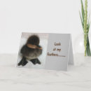 Recherche de caneton vœux cartes Photographie