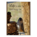 Recherche de mésange cartes postales Nature