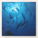 Suche nach sonnenlicht untersetzer Meer