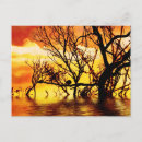 Recherche de ondulations cartes postales Oiseau