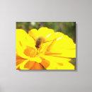 Suche nach apfelbaum leinwandbilder Blume