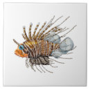Recherche de poissons de lion Tropical