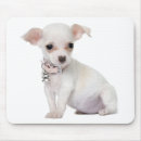Suche nach chihuahua hund mousepads Welpen
