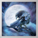 Suche nach corvid poster Rabe